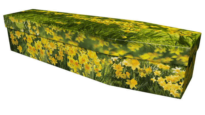 Eco Coffins